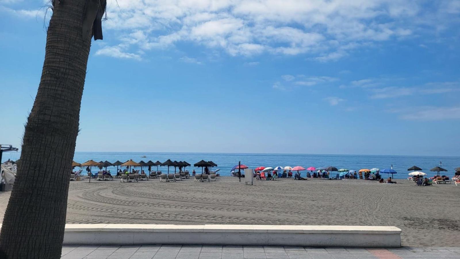 Appartement Panorama - Albatros